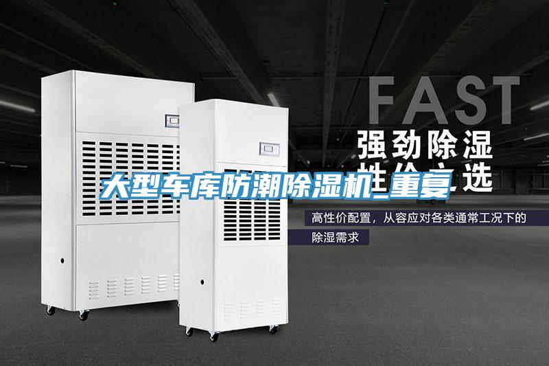 大型車庫防潮榴莲视频官网APP_重複