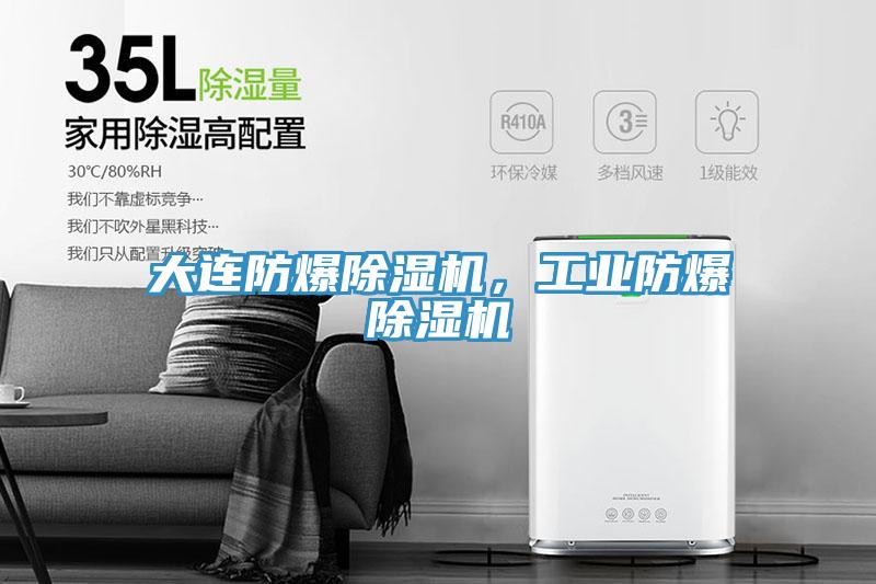 大連防爆榴莲视频官网APP，工業防爆榴莲视频官网APP