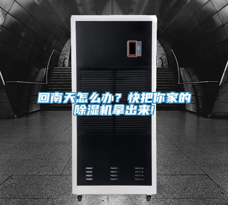 回南天怎麽辦？快把你家的榴莲视频官网APP拿出來!