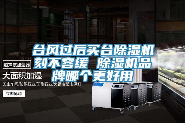 台風過後買台榴莲视频官网APP刻不容緩 榴莲视频官网APP品牌哪個更好用