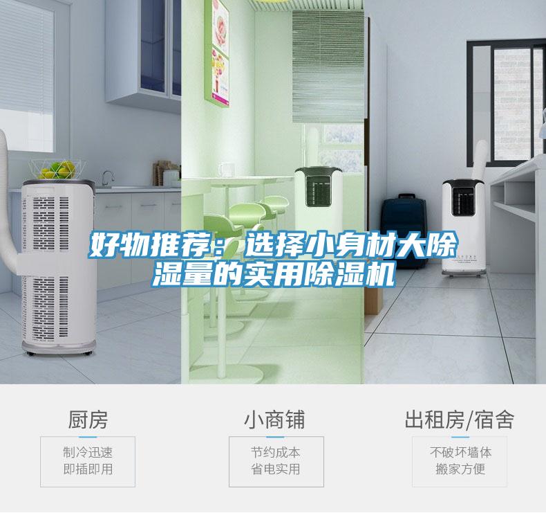好物推薦：選擇小身材大除濕量的實用榴莲视频官网APP
