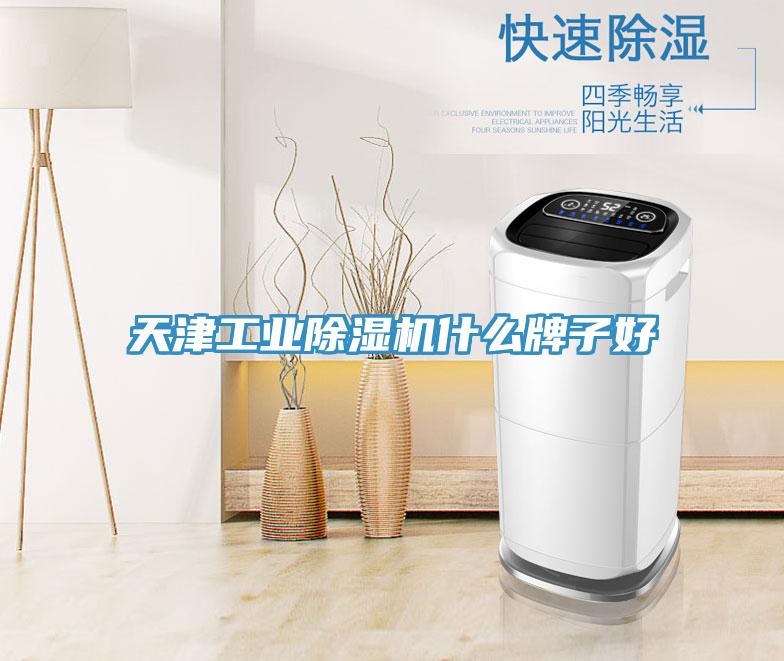 天津工業榴莲视频官网APP什麽牌子好