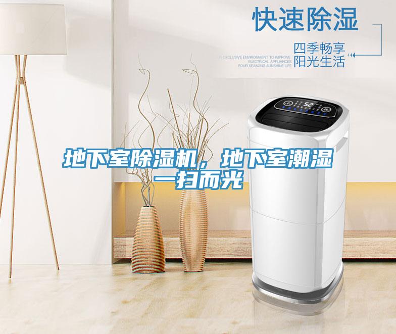 地下室榴莲视频官网APP，地下室潮濕一掃而光