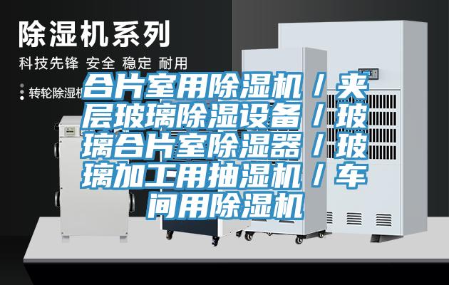 合片室用榴莲视频官网APP／夾層玻璃除濕設備／玻璃合片室除濕器／玻璃加工用抽濕機／車間用榴莲视频官网APP