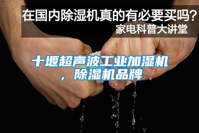 十堰超聲波工業加濕機，榴莲视频官网APP品牌