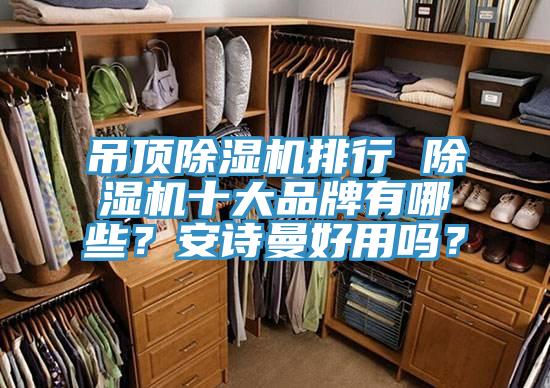 吊頂榴莲视频官网APP排行 榴莲视频官网APP十大品牌有哪些？榴莲网站在线观看好用嗎？