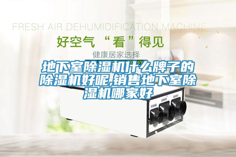 地下室榴莲视频官网APP什麽牌子的榴莲视频官网APP好呢,銷售地下室榴莲视频官网APP哪家好