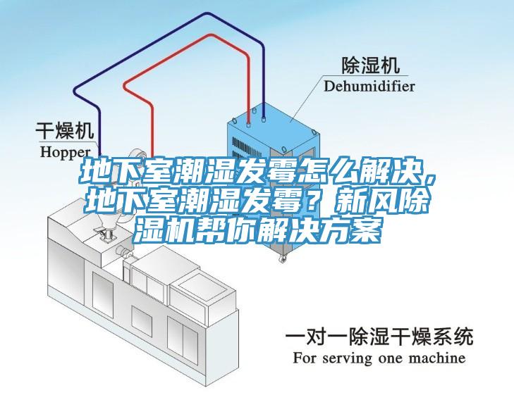 地下室潮濕發黴怎麽解決，地下室潮濕發黴？新風榴莲视频官网APP幫你解決方案