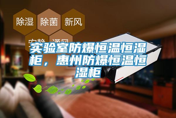 實驗室防爆恒溫恒濕櫃，惠州防爆恒溫恒濕櫃