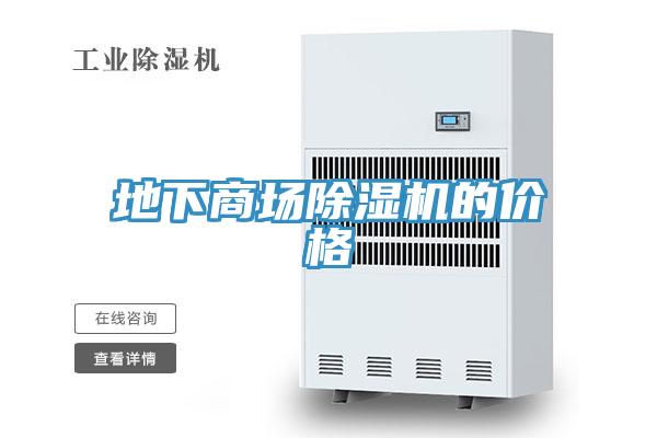 地下商場榴莲视频官网APP的價格