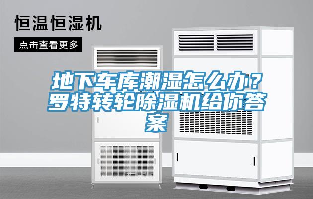 地下車庫潮濕怎麽辦？羅特轉輪榴莲视频官网APP給你答案