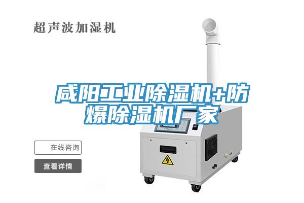 鹹陽工業榴莲视频官网APP+防爆榴莲视频官网APP廠家