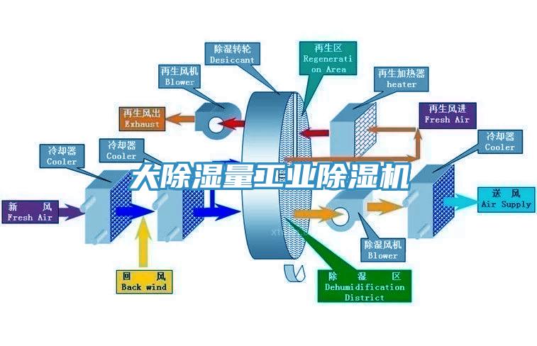 大除濕量工業榴莲视频官网APP