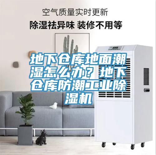 地下倉庫地麵潮濕怎麽辦？地下倉庫防潮工業榴莲视频官网APP