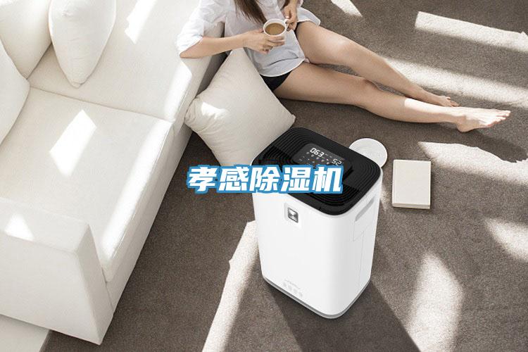 孝感榴莲视频官网APP