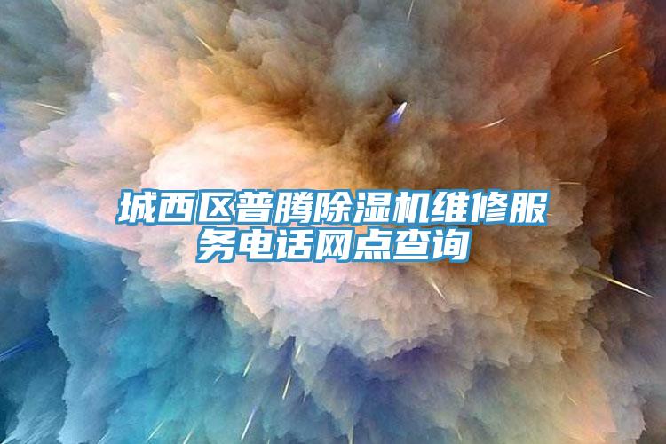 城西區普騰榴莲视频官网APP維修服務電話網點查詢