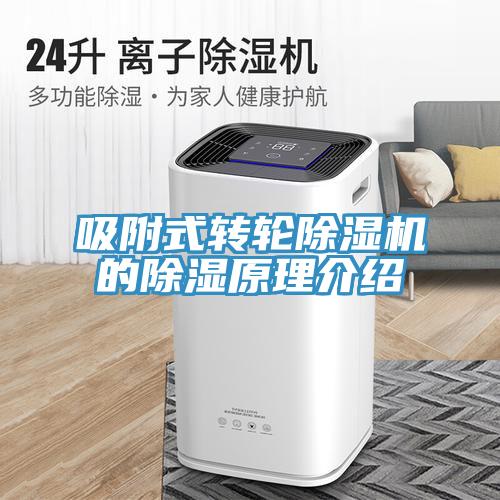 吸附式轉輪榴莲视频官网APP的除濕原理介紹