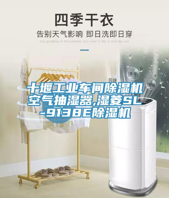 十堰工業車間榴莲视频官网APP空氣抽濕器,濕菱SL-9138E榴莲视频官网APP