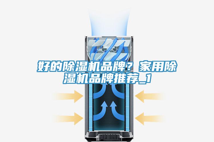 好的榴莲视频官网APP品牌？家用榴莲视频官网APP品牌推薦_1