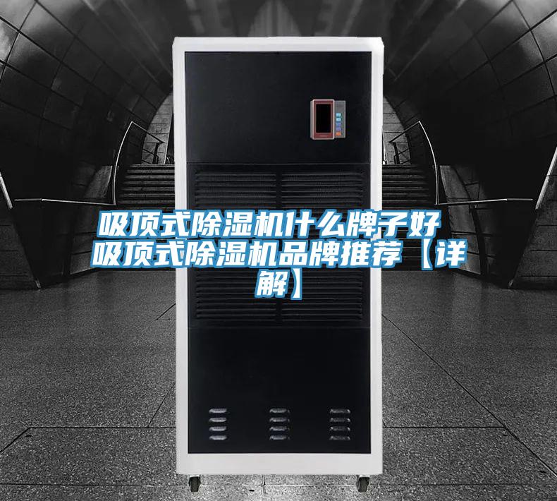 吸頂式榴莲视频官网APP什麽牌子好 吸頂式榴莲视频官网APP品牌推薦【詳解】