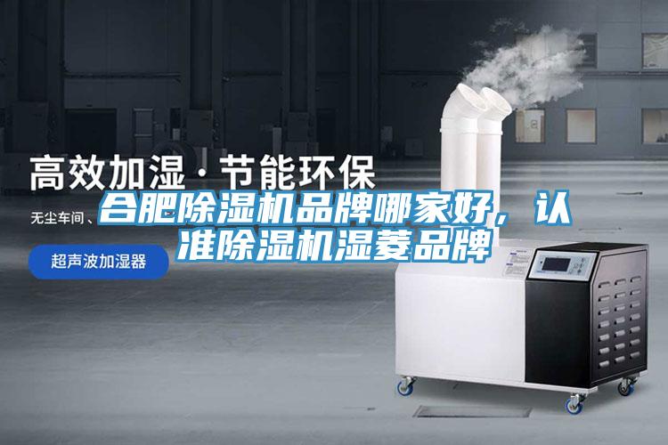 合肥榴莲视频官网APP品牌哪家好，認準榴莲视频官网APP濕菱品牌