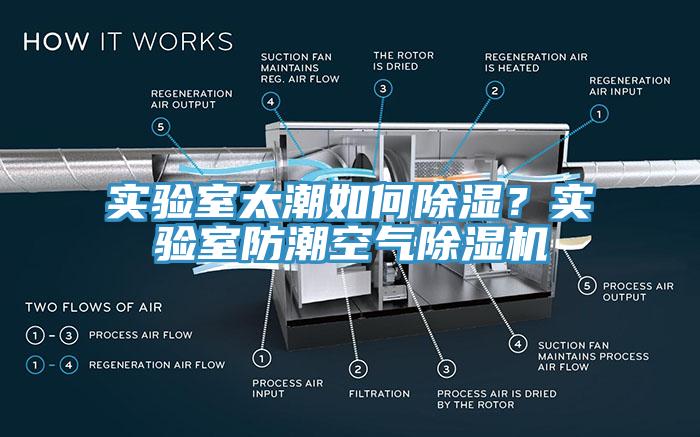 實驗室太潮如何除濕？實驗室防潮空氣榴莲视频官网APP