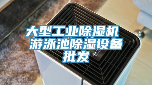 大型工業榴莲视频官网APP 遊泳池除濕設備批發