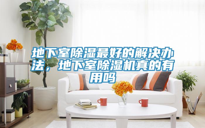地下室除濕最好的解決辦法，地下室榴莲视频官网APP真的有用嗎
