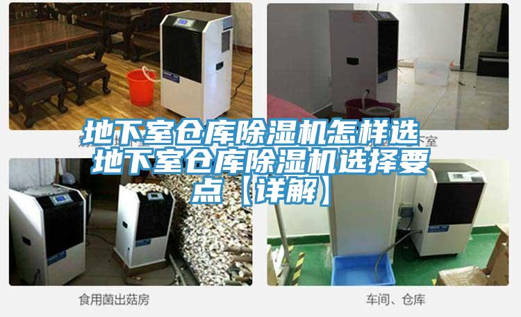 地下室倉庫榴莲视频官网APP怎樣選 地下室倉庫榴莲视频官网APP選擇要點【詳解】