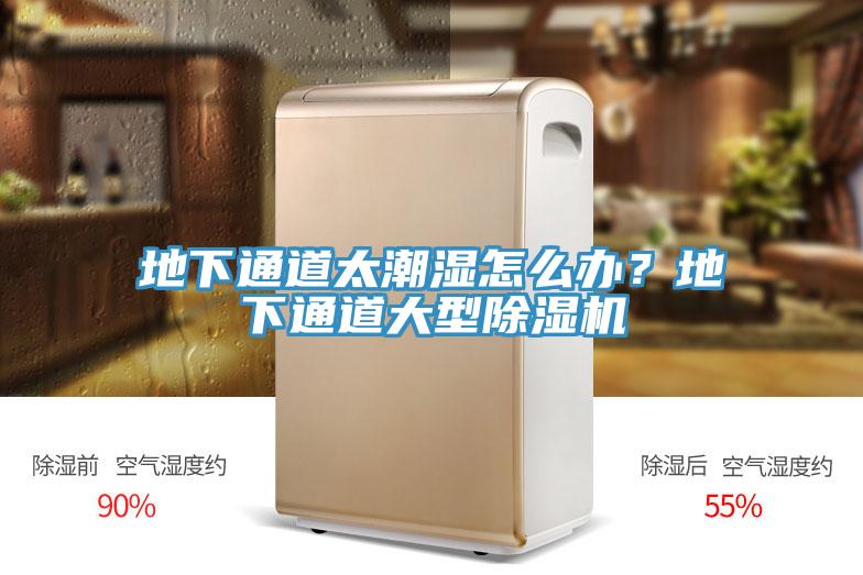 地下通道太潮濕怎麽辦？地下通道大型榴莲视频官网APP