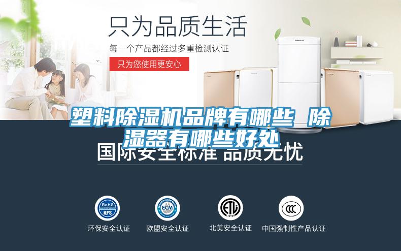 塑料榴莲视频官网APP品牌有哪些 除濕器有哪些好處