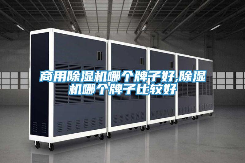 商用榴莲视频官网APP哪個牌子好,榴莲视频官网APP哪個牌子比較好