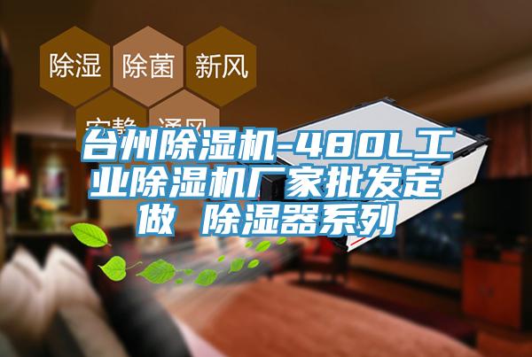 台州榴莲视频官网APP-480L工業榴莲视频官网APP廠家批發定做 除濕器係列