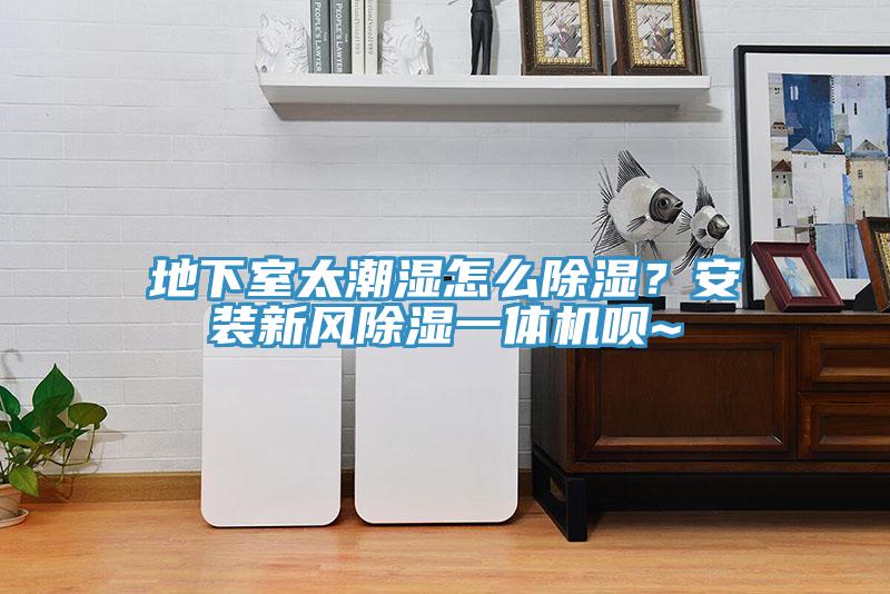 地下室太潮濕怎麽除濕？安裝新風除濕一體機唄~