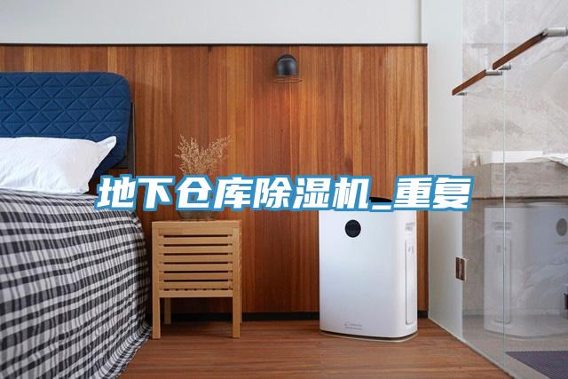 地下倉庫榴莲视频官网APP_重複