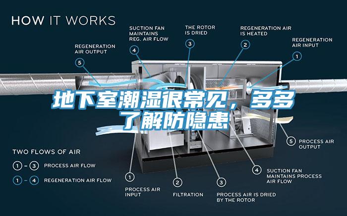 地下室潮濕很常見，多多了解防隱患