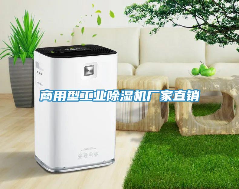 商用型工業榴莲视频官网APP廠家直銷