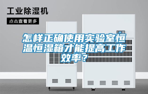 怎樣正確使用實驗室恒溫恒濕箱才能提高工作效率？