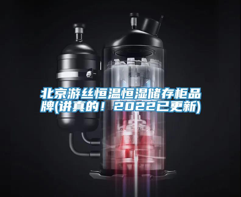 北京遊絲恒溫恒濕儲存櫃品牌(講真的！2022已更新)