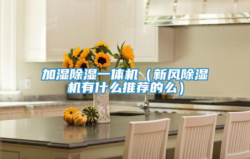 加濕除濕一體機（新風榴莲视频官网APP有什麽推薦的麽）
