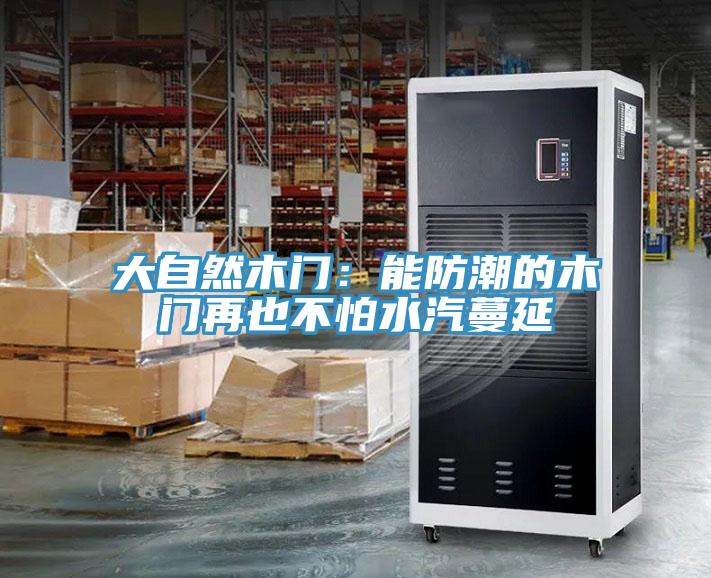 大自然木門：能防潮的木門再也不怕水汽蔓延