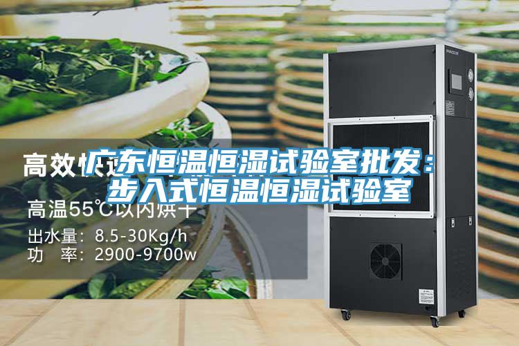 廣東恒溫恒濕試驗室批發：步入式恒溫恒濕試驗室