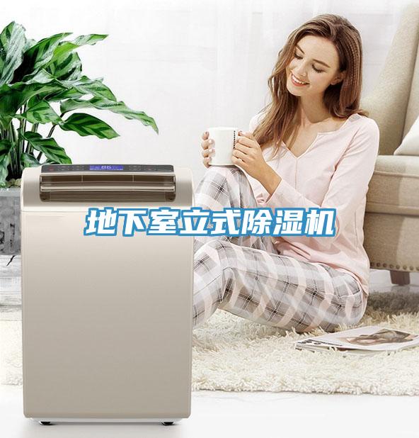 地下室立式榴莲视频官网APP