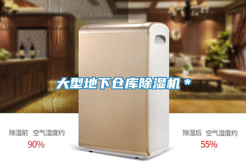 大型地下倉庫榴莲视频官网APP＊