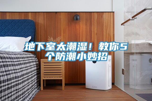 地下室太潮濕！教你5個防潮小妙招