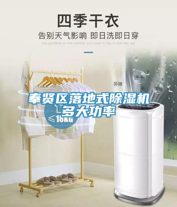 奉賢區落地式榴莲视频官网APP多大功率