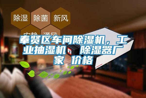 奉賢區車間榴莲视频官网APP，工業抽濕機  除濕器廠家 價格