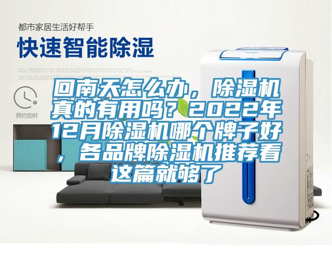 回南天怎麽辦，榴莲视频官网APP真的有用嗎？2022年12月榴莲视频官网APP哪個牌子好，各品牌榴莲视频官网APP推薦看這篇就夠了