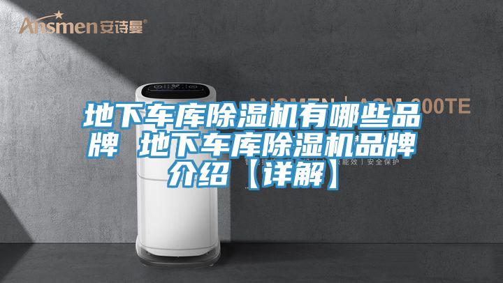 地下車庫榴莲视频官网APP有哪些品牌 地下車庫榴莲视频官网APP品牌介紹【詳解】
