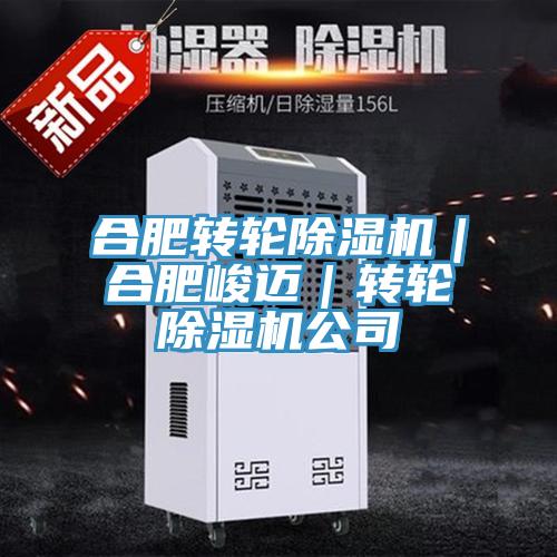 合肥轉輪榴莲视频官网APP｜合肥峻邁｜轉輪榴莲视频官网APP公司